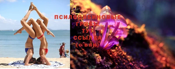 дмт Касимов