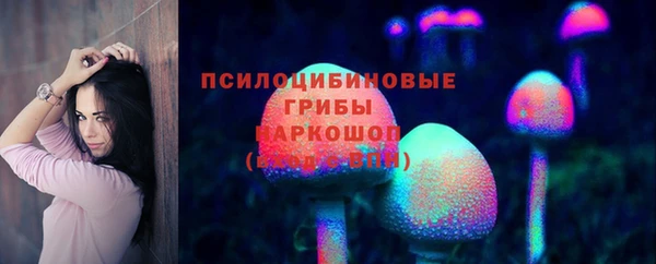 jwh Карпинск