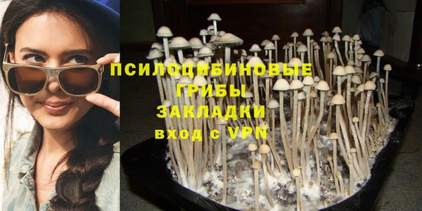 jwh Карпинск