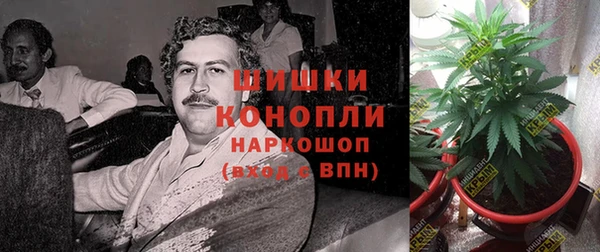 гашик Карталы
