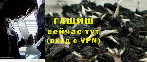 дмт Касимов