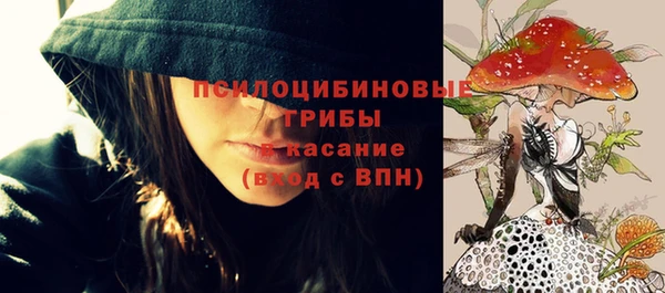 гашик Карталы