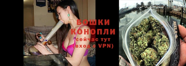 дмт Касимов