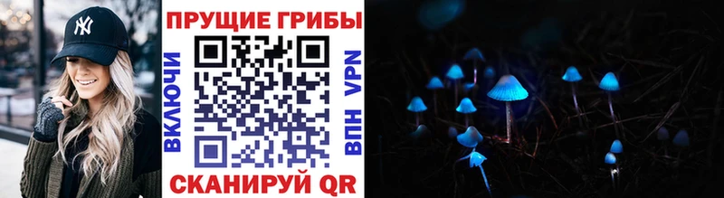 Купить где  Инта  Галлюциногенные грибы мухоморы 